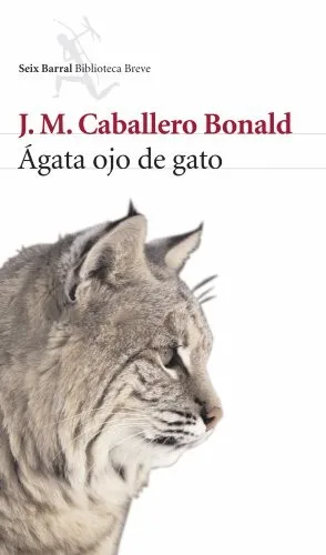 Portada orientativa de Ágata ojo de gato; puede no corresponder a esta edición