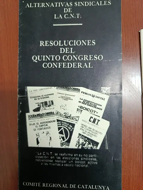 Vista principal de Alternativas sindicales de la CNT: resoluciones del Quinto Congreso Confederal