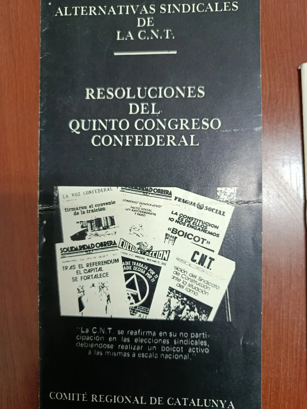 Vista principal de Alternativas sindicales de la CNT: resoluciones del Quinto Congreso Confederal